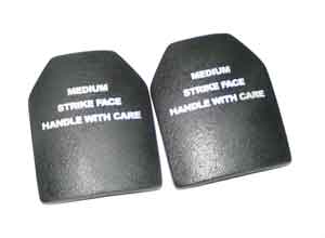 HOT TOYS 1/6th Loose SAPI Plates (2X) #HTL4-A420