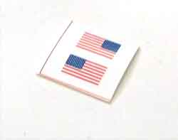 HOT TOYS 1/6th Loose Patch Set (Ranger M249) #HTL4-A901