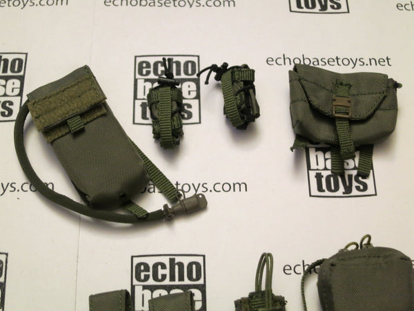 DAM Toys Loose 1/6th JPC Plate Carrier (RG,w/9 Accessories) #DAM4-Y650