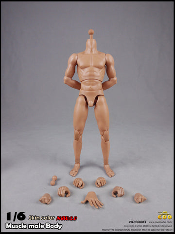 COO MODEL 1/6 Male Muscle Body 2.0 Action Figure Set (Regular Height) #CM-BD003