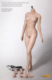 PHICEN LIMITED 1/6 Female Super Flexible Pale Seamless Body Medium Bust Size NO HEAD INCLUDED #PL-MB2016-S16A