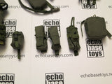 DAM Toys Loose 1/6th JPC Plate Carrier (RG,w/9 Accessories) #DAM4-Y650