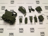 DAM Toys Loose 1/6th JPC Plate Carrier (RG,w/9 Accessories) #DAM4-Y650