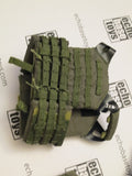 DAM Toys Loose 1/6th JPC Plate Carrier (RG,w/9 Accessories) #DAM4-Y650