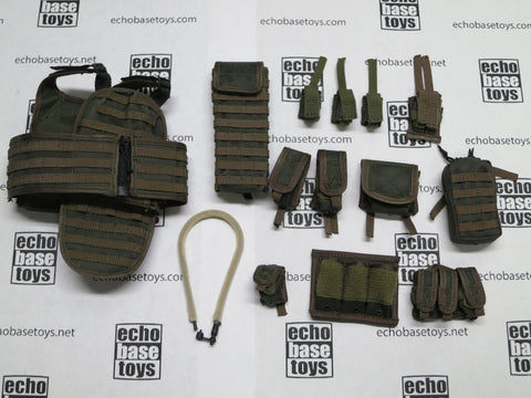 DAM Toys Loose 1/6th HPC Plate Carrier (OD,w/13 Accessories) #DAM4-Y610