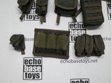 DAM Toys Loose 1/6th HPC Plate Carrier (OD,w/13 Accessories) #DAM4-Y610