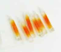 Soldier Story Loose 1/6th Light Sticks (Short)(Orange 6x) #SSL4-A222