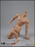 COO MODEL 1/6 Male Muscle Body 2.0 Action Figure Set (Regular Height) #CM-BD003