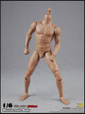 COO MODEL 1/6 Male Muscle Body 2.0 Action Figure Set (Regular Height) #CM-BD003