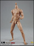 COO MODEL 1/6 Male Muscle Body 2.0 Action Figure Set (Regular Height) #CM-BD003