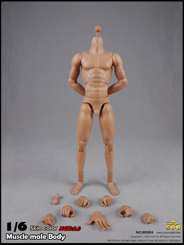 COO MODEL 1/6 Male Muscle Body 2.0 Action Figure Set (Tall Height) #CM-BD004